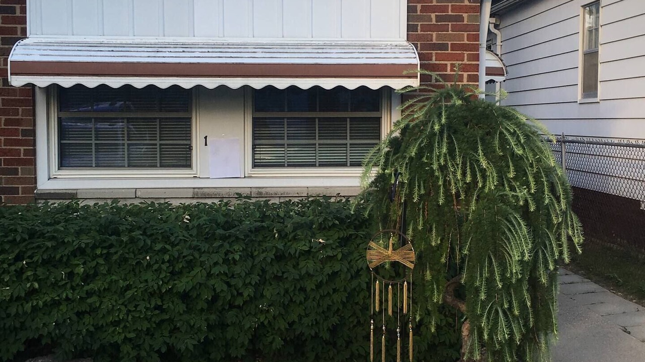 Photo of Outdoor in Tecumseh