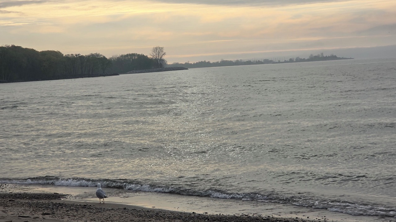 Photo of Others in Long Branch