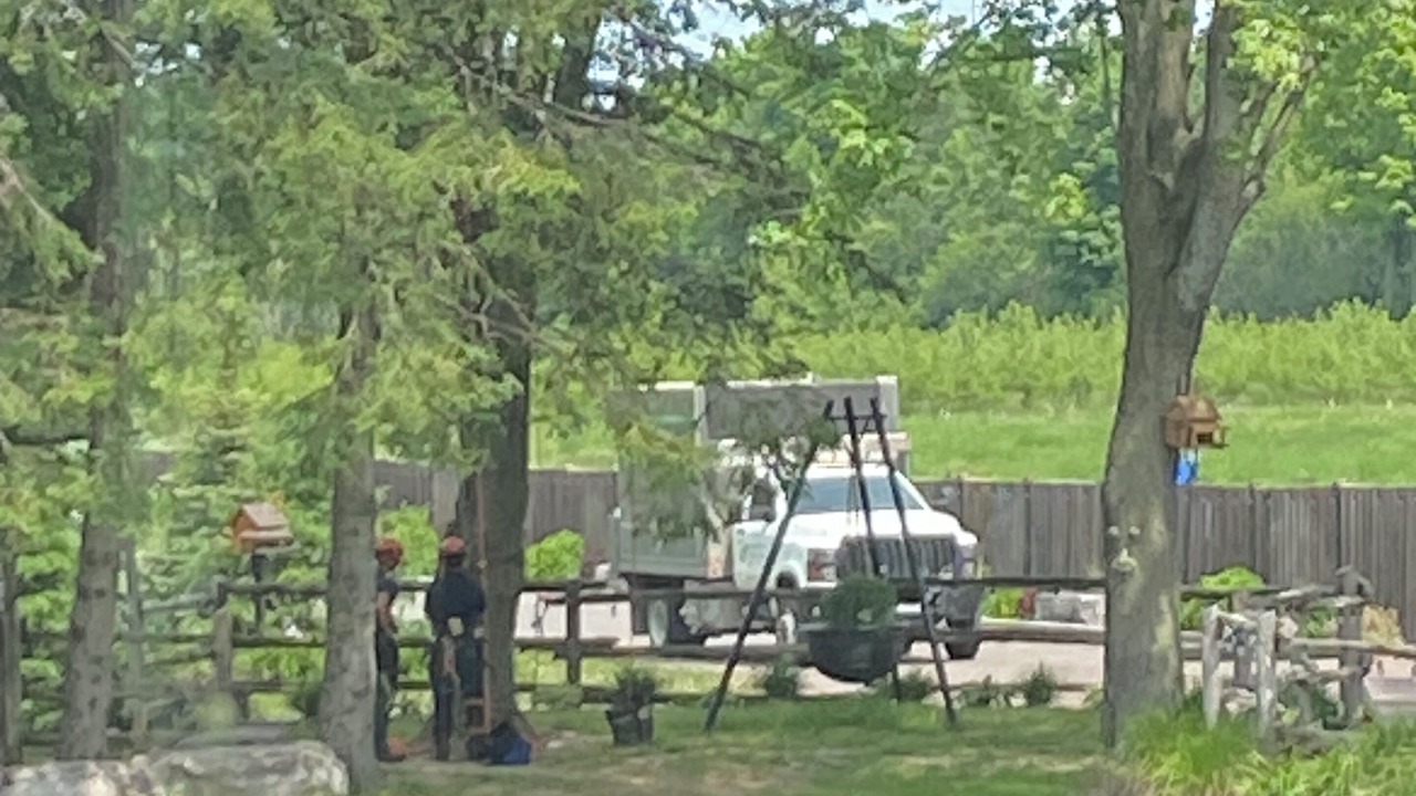 Photo of Others in Durham Region