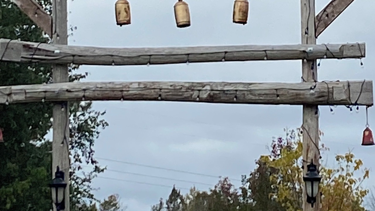 Photo of Others in Durham Region