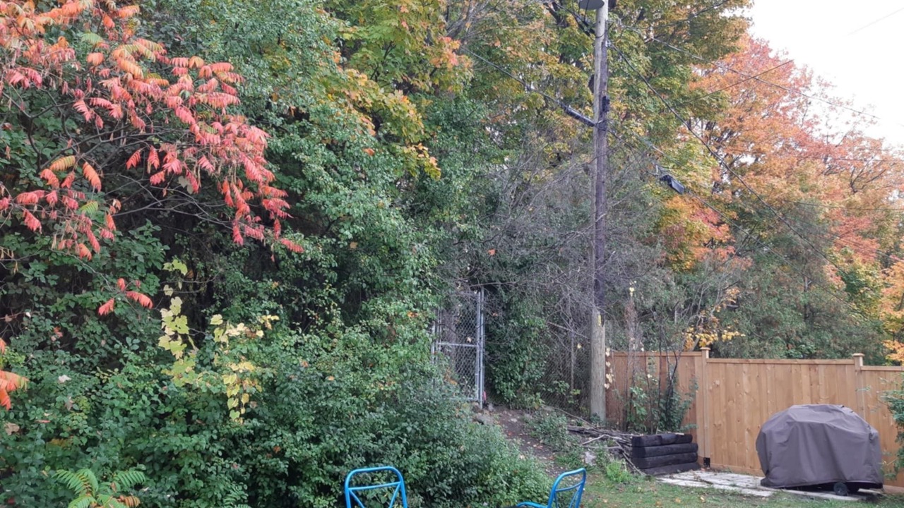 Photo of Outdoor in Vanier