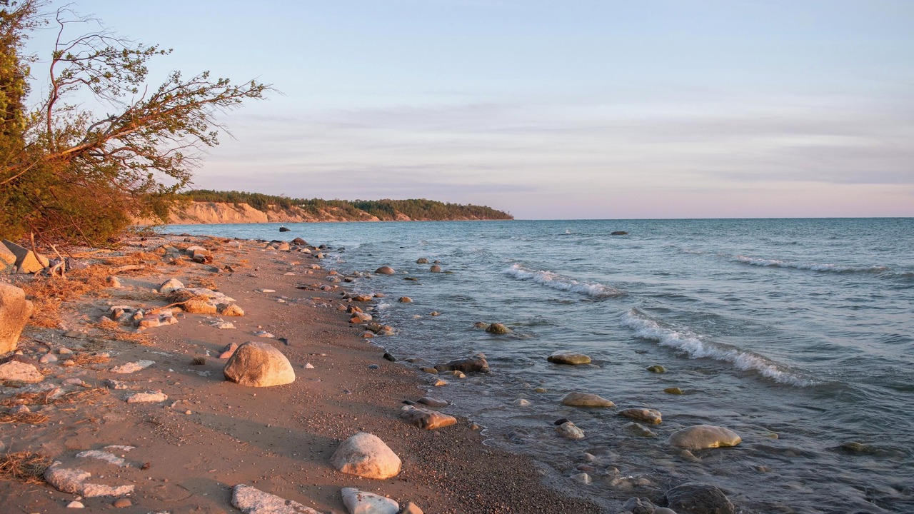 Photo of Others in Central Huron