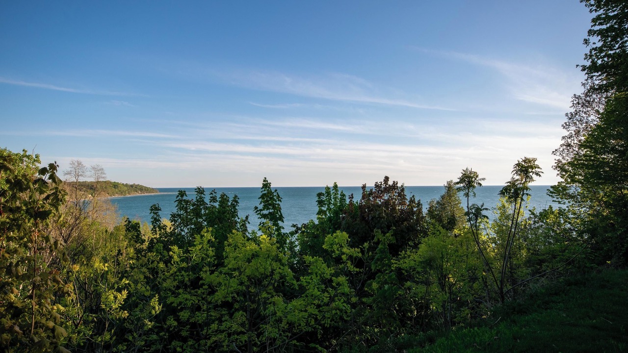 Photo of Others in Central Huron