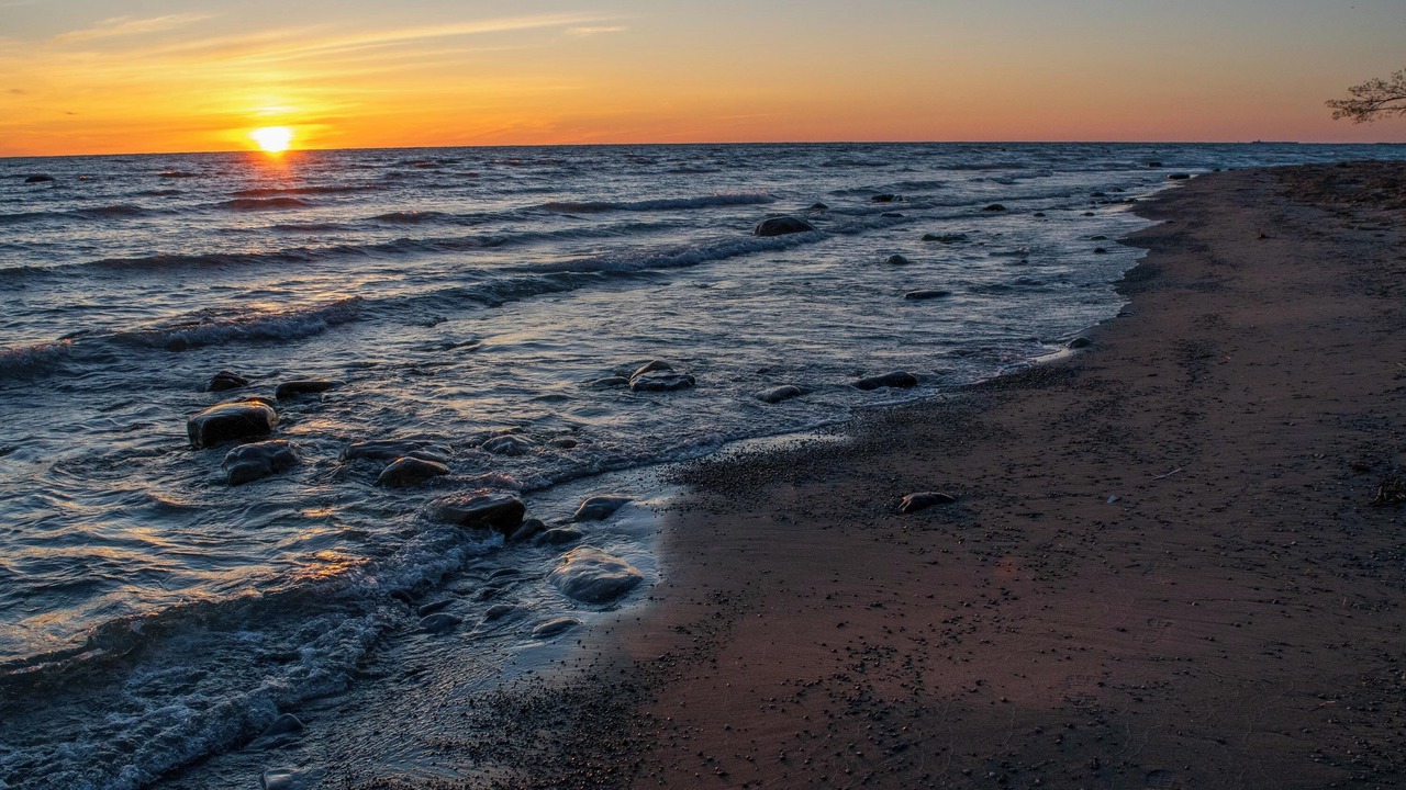 Photo of Others in Central Huron