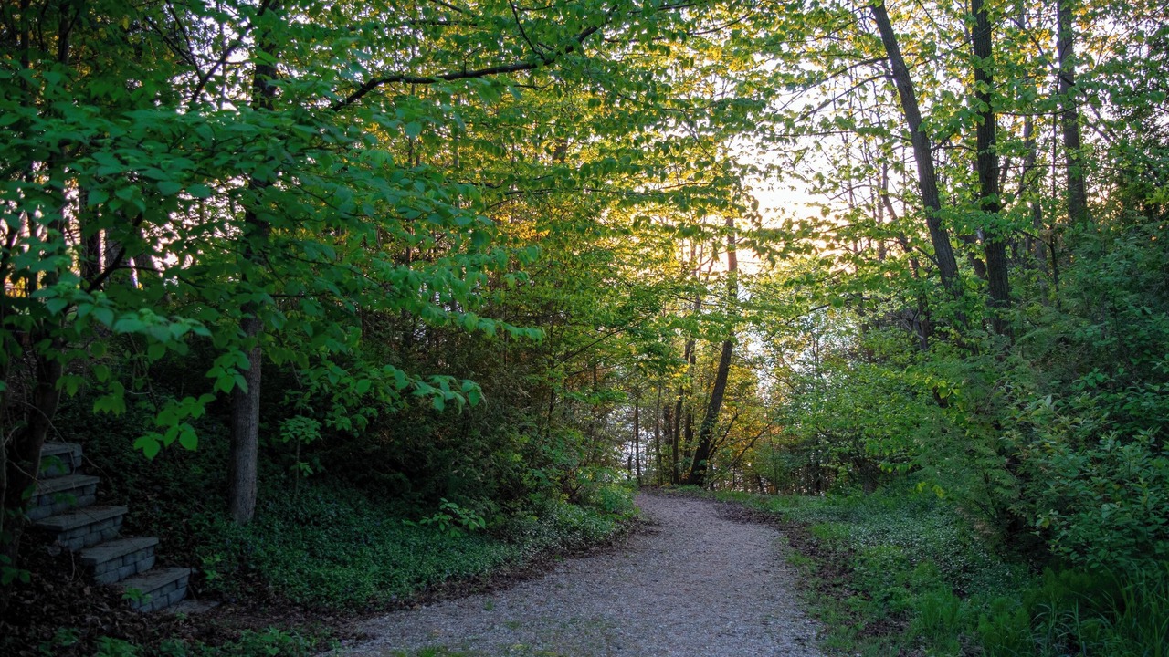 Photo of Outdoor in Central Huron