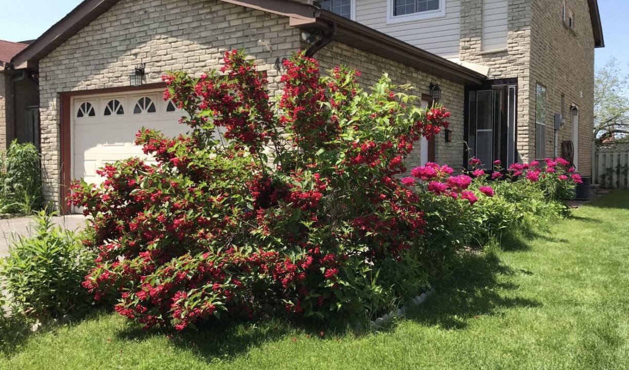 Photo of Outdoor in Markham