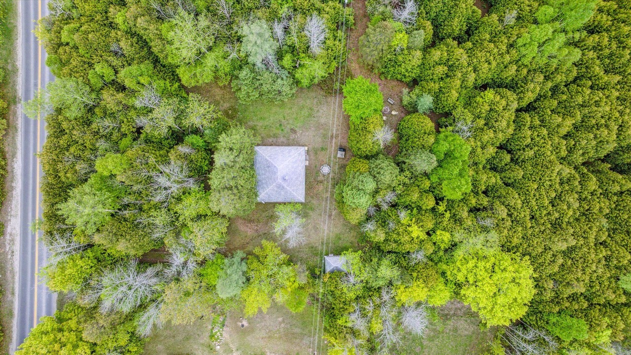 Photo of Others in South Bruce Peninsula