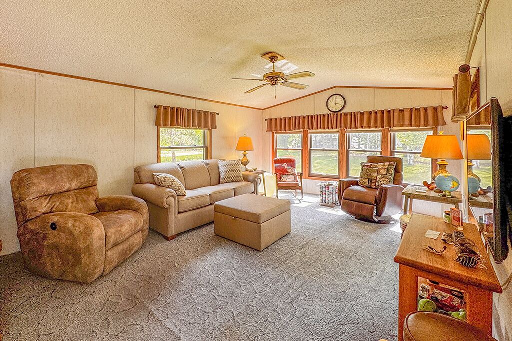 Photo of Livingroom in Browerville