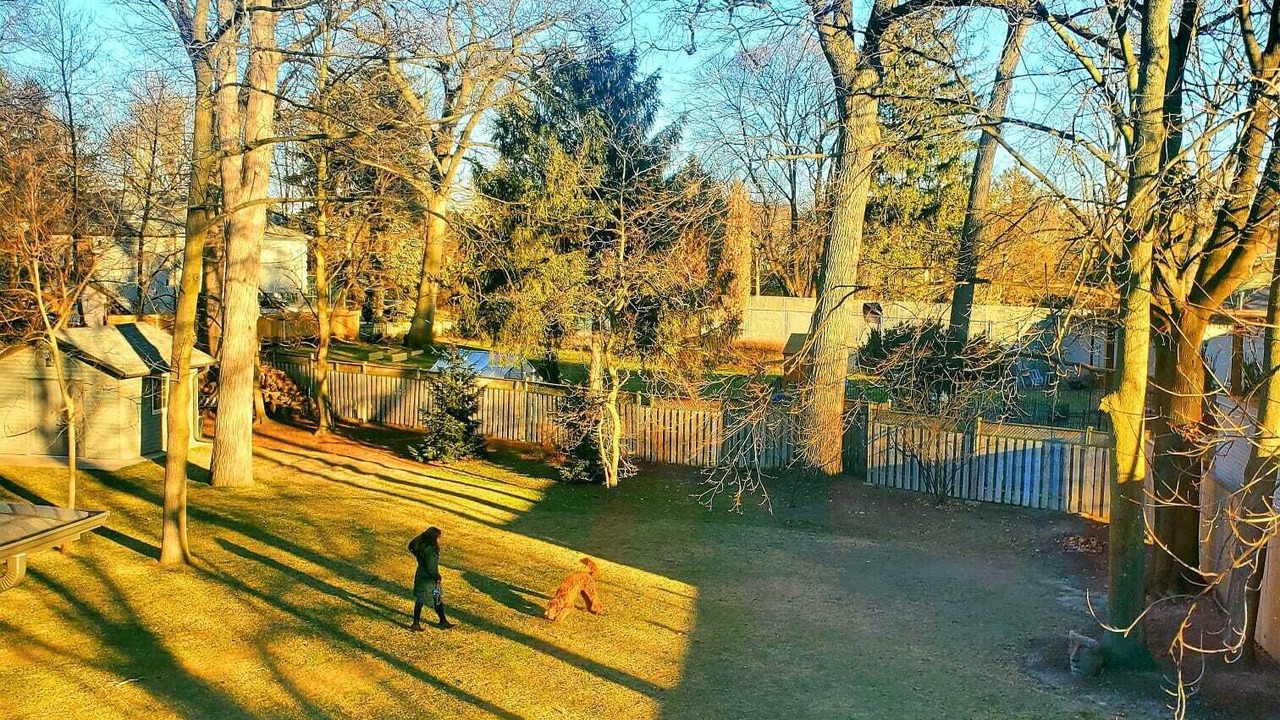 Photo of Outdoor in Clarkson-Lorne Park