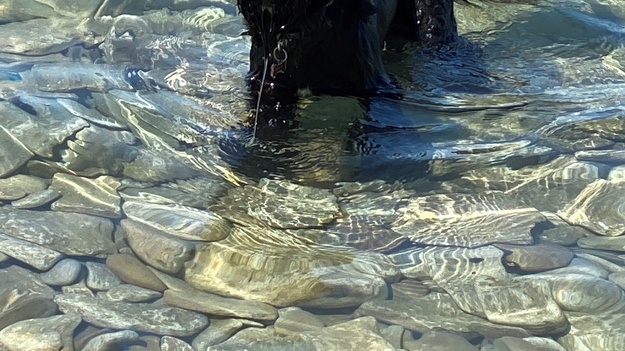 Photo of Others in Big Bay