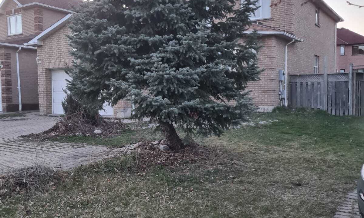 Photo of Outdoor in Hurontario