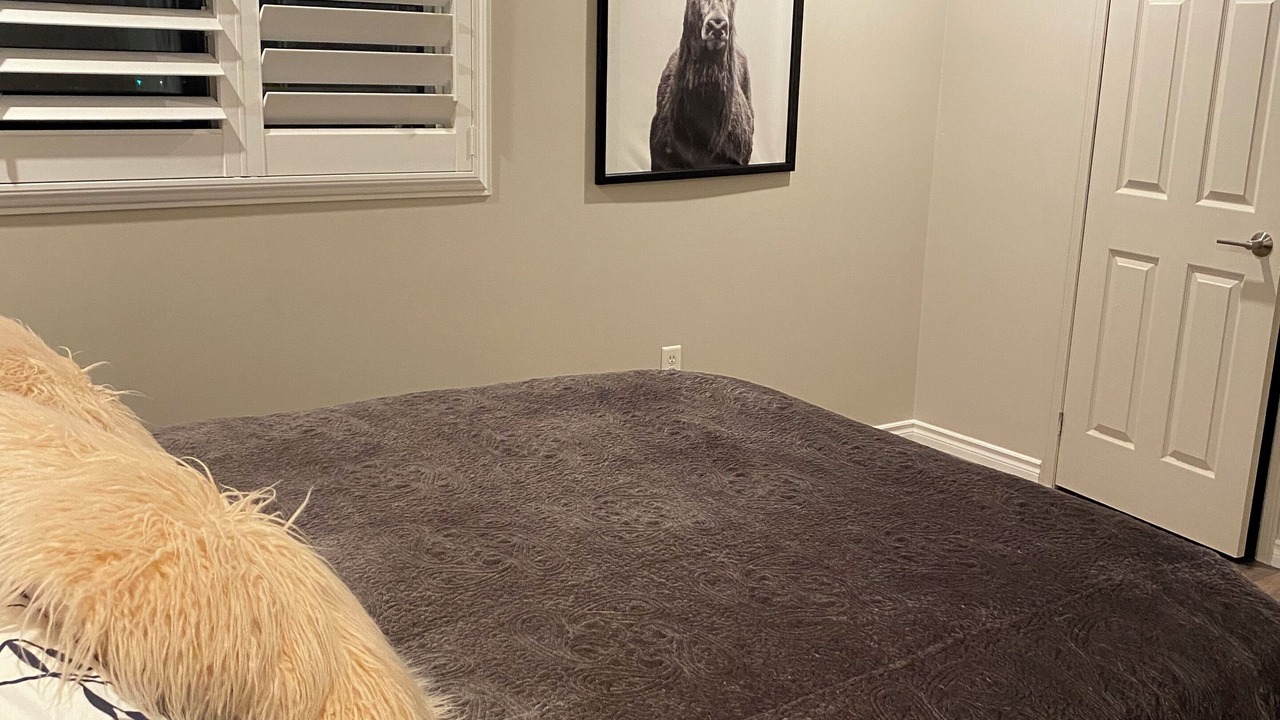 Photo of Bedroom in Midland