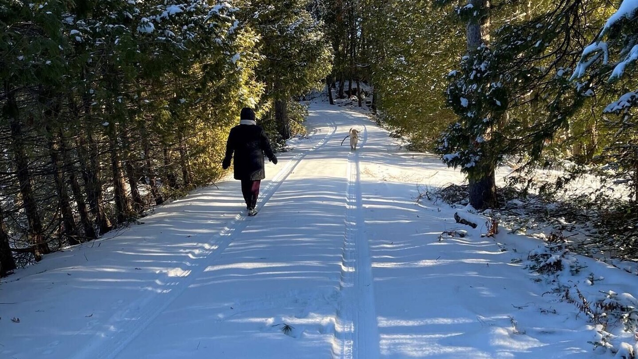 Photo of Others in Wollaston