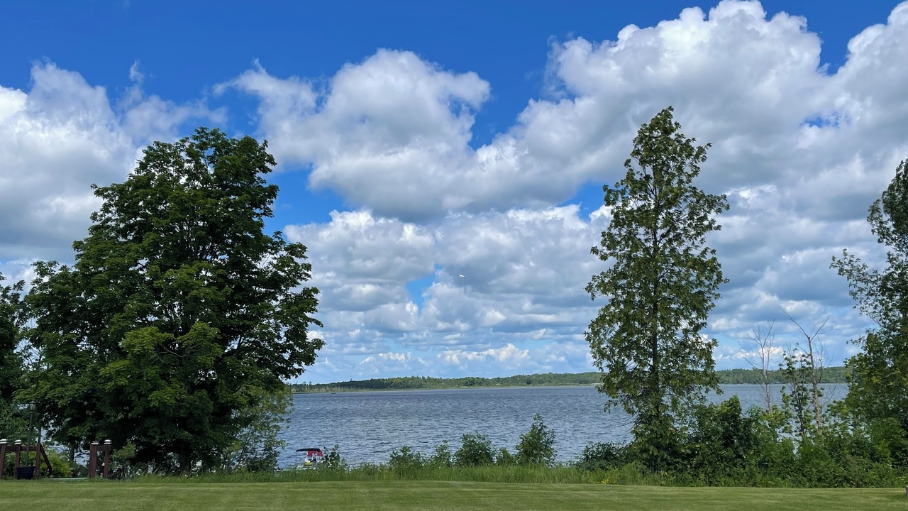 Photo of Others in Puposky