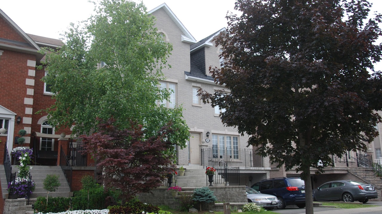 Photo of Outdoor in Thornhill