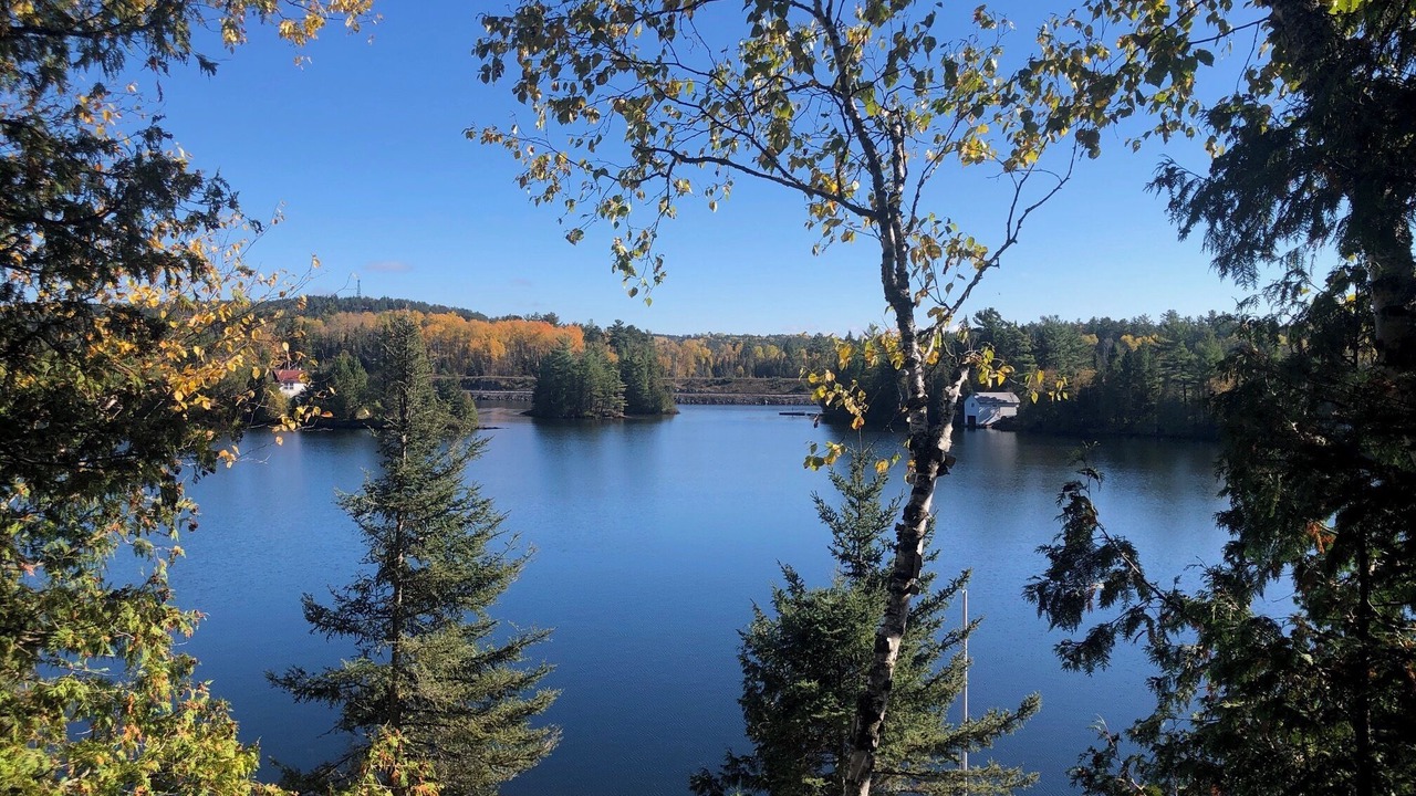 Photo of Others in Temagami