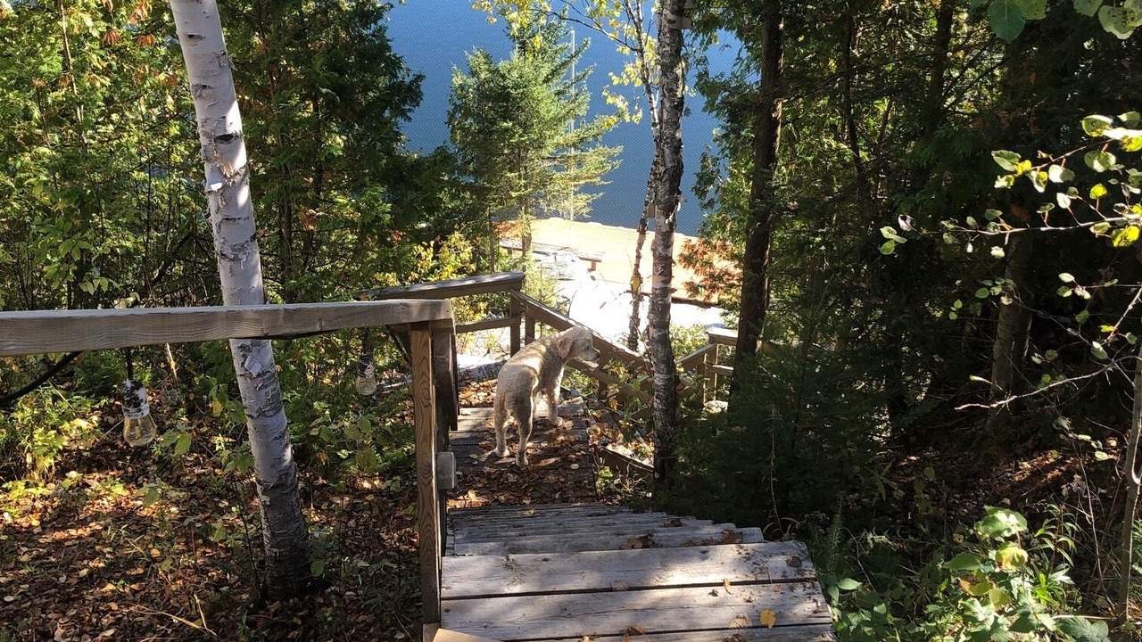Photo of Outdoor in Temagami