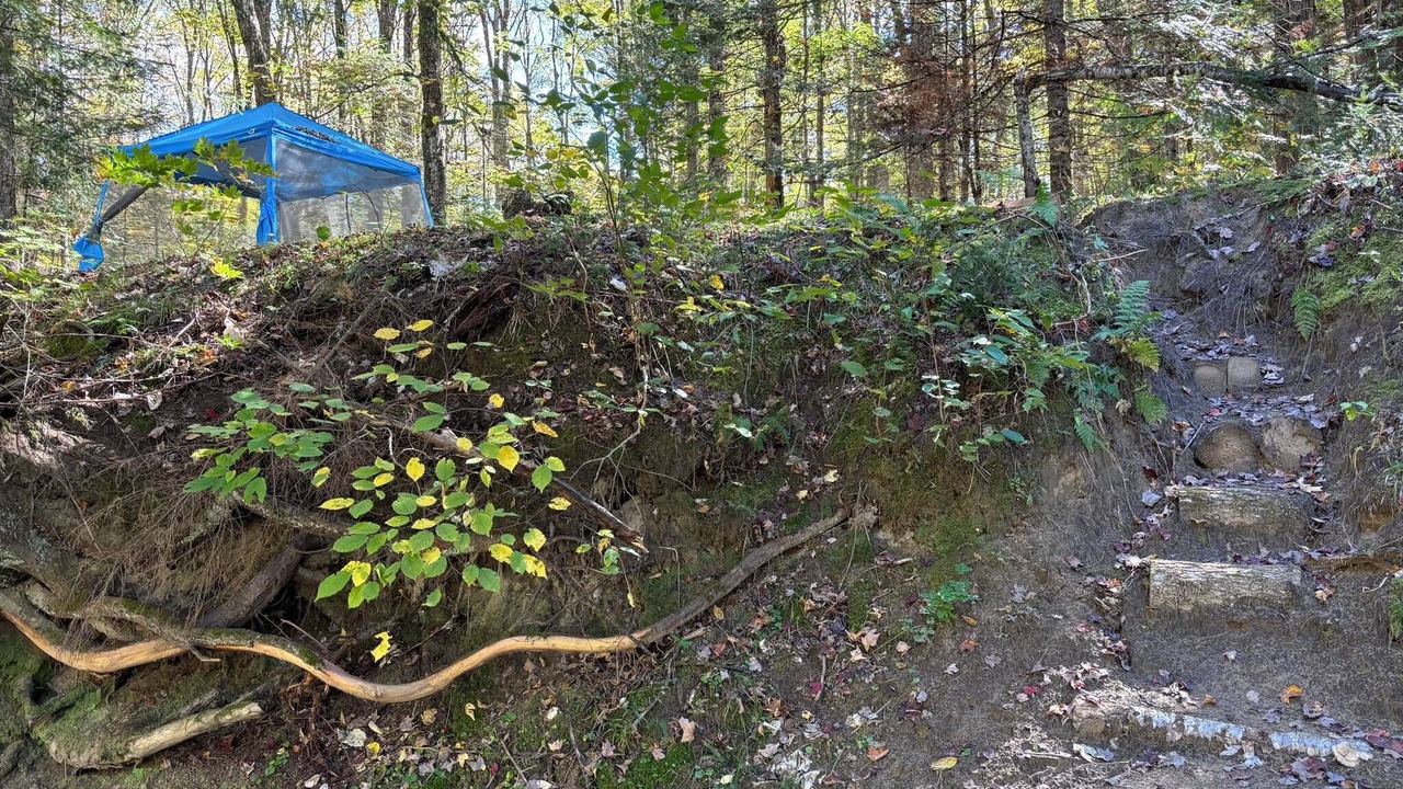 Photo of Outdoor in Bracebridge