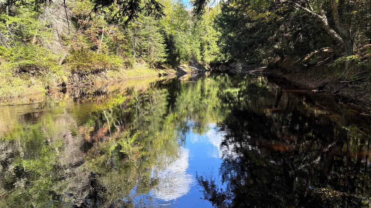 Photo of Others in Bracebridge