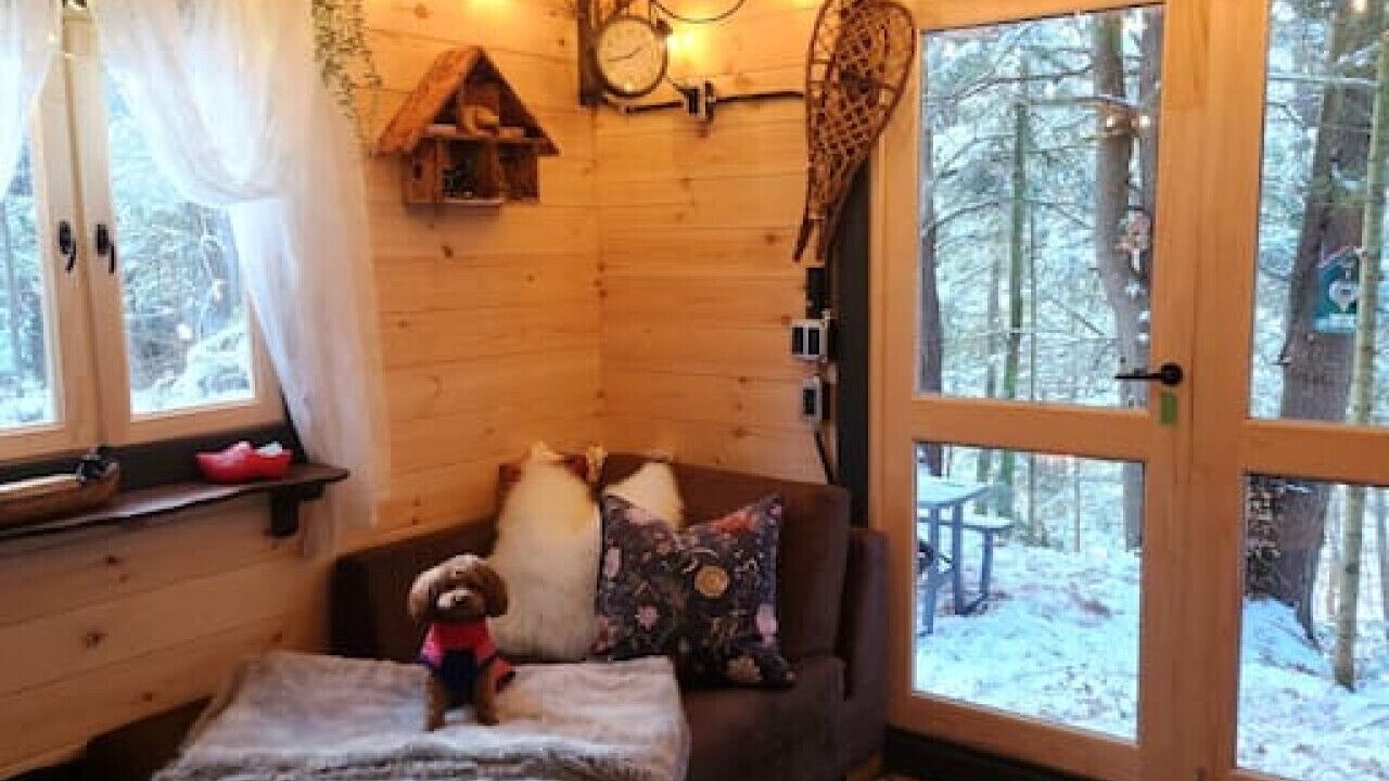 Photo of Others in Bracebridge