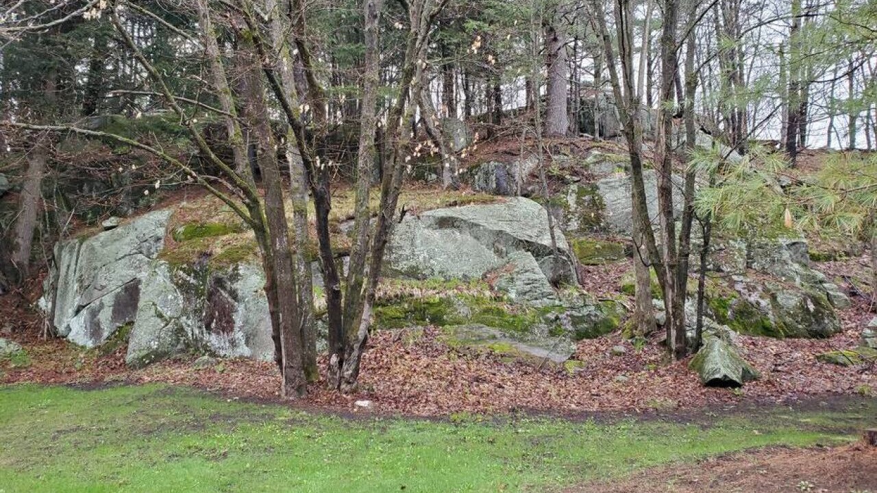 Photo of Others in Bracebridge
