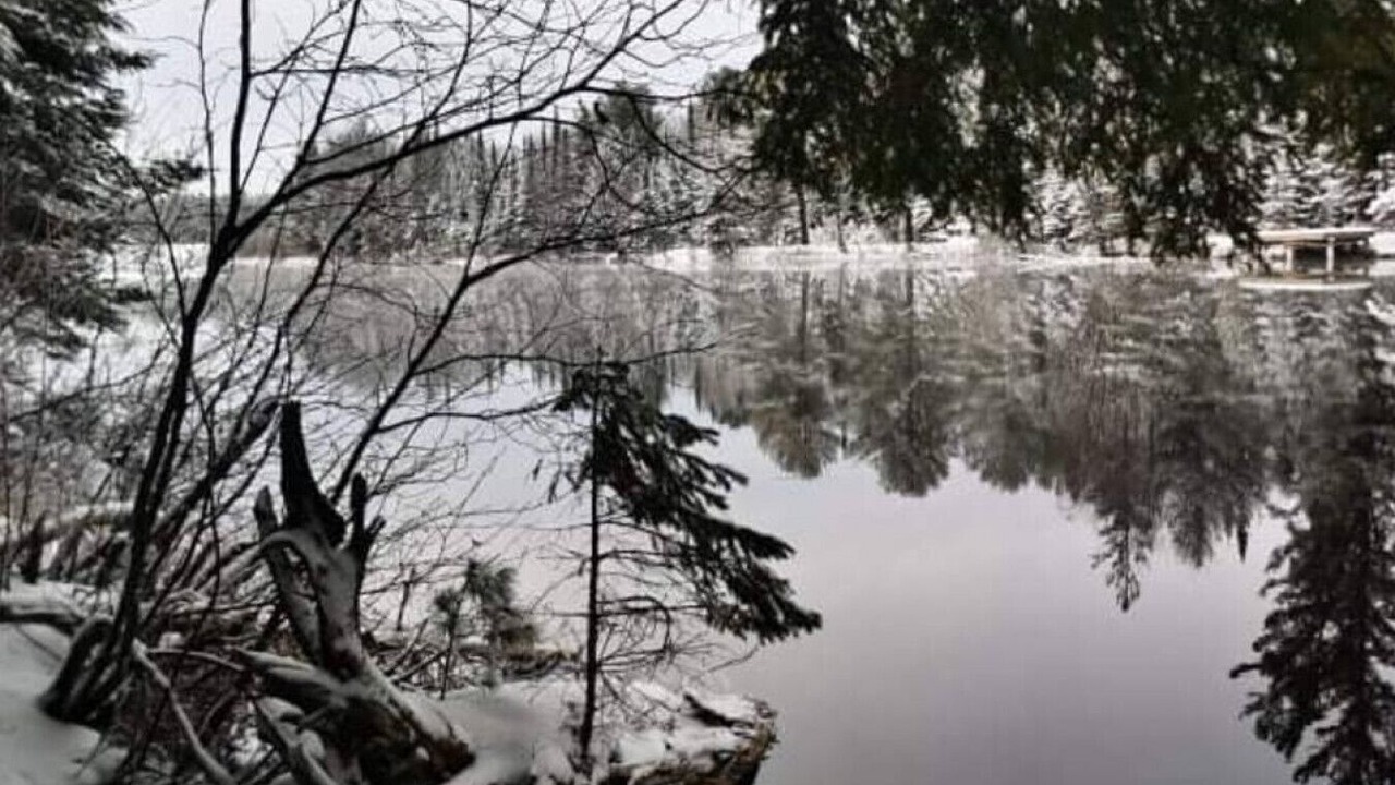 Photo of Others in Bracebridge