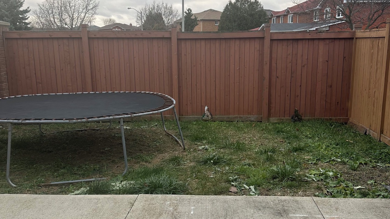 Photo of Outdoor in Humberwood