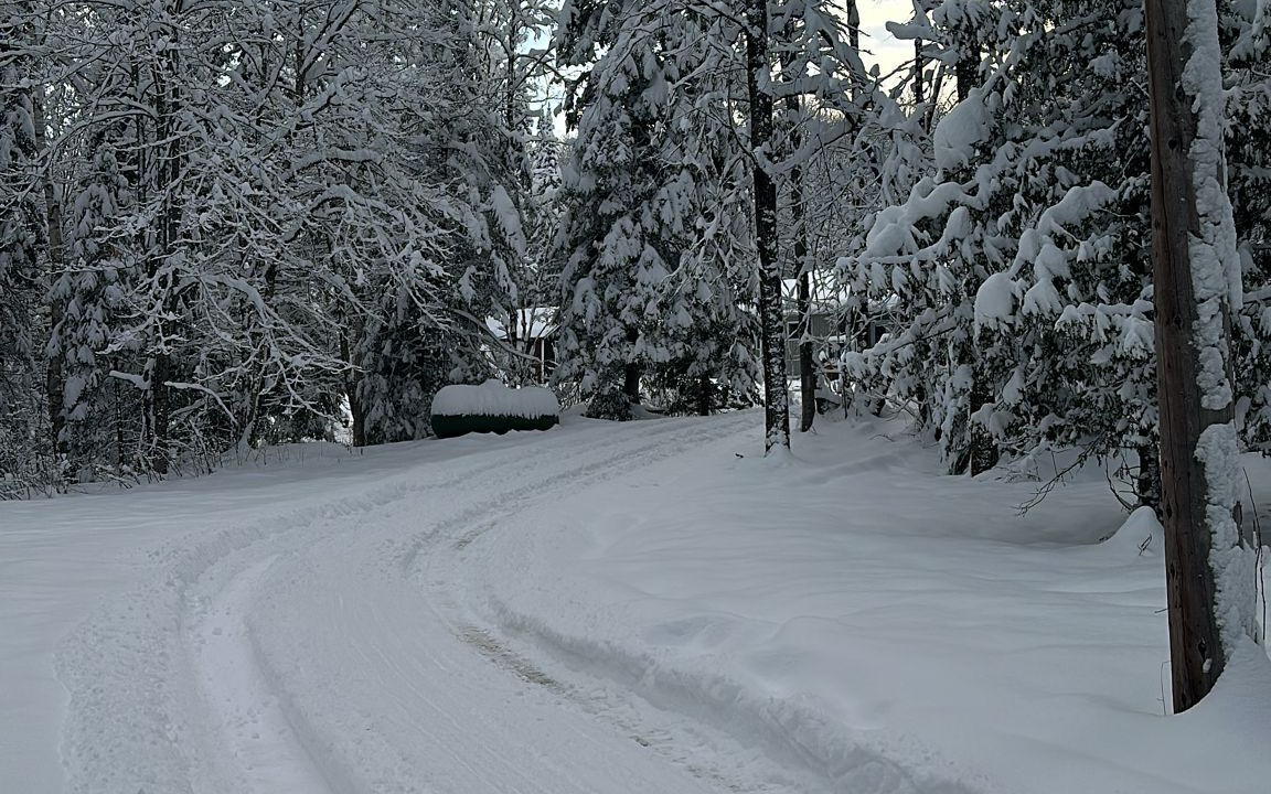 Photo of Others in Utterson