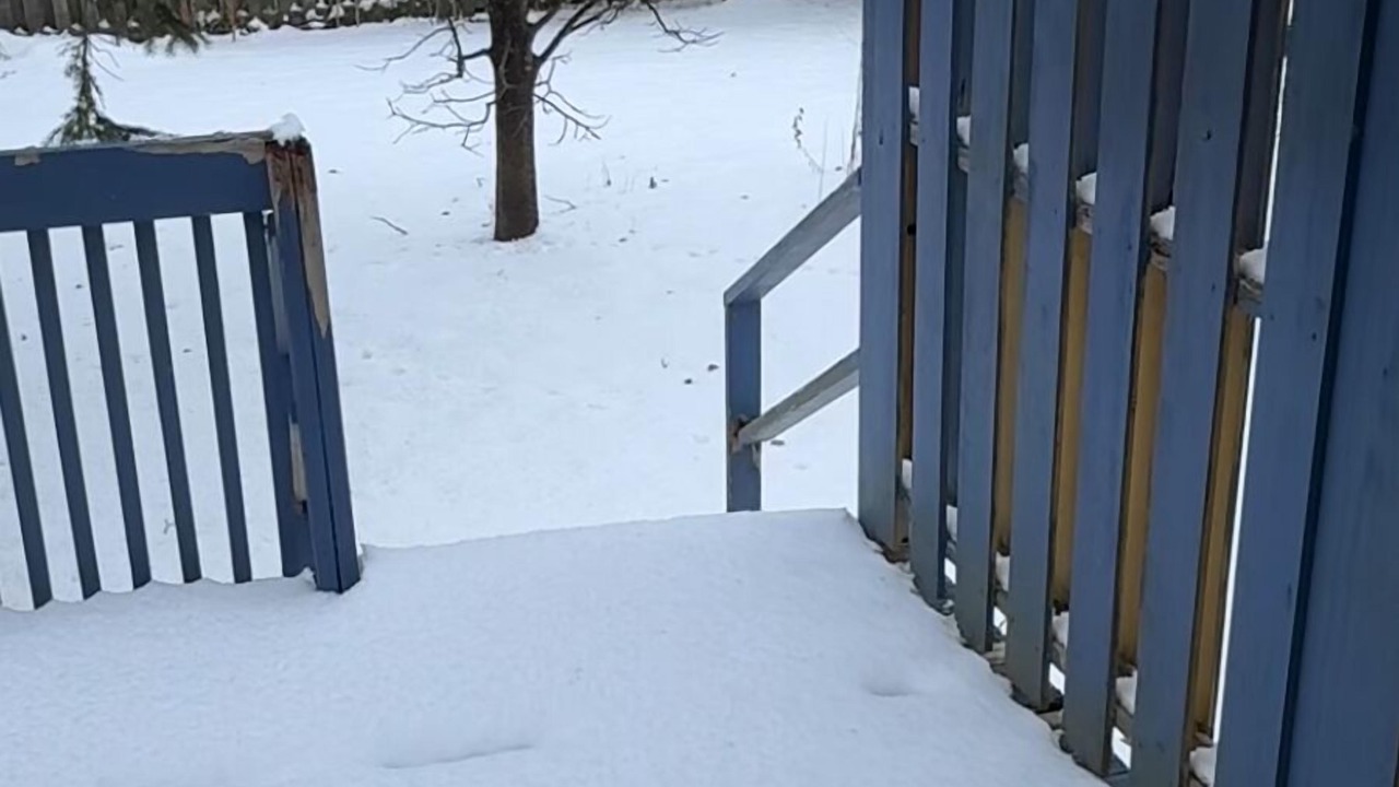 Photo of Outdoor in Belleville