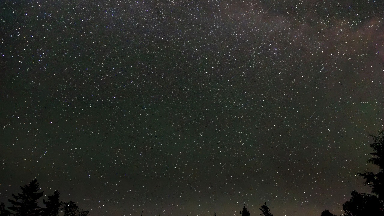 Photo of Others in Northern Bruce Peninsula