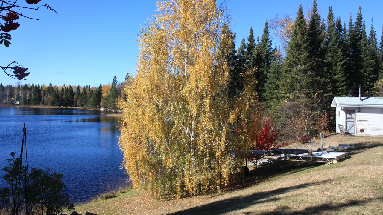 Photo of Outdoor in Unorganized Thunder Bay District