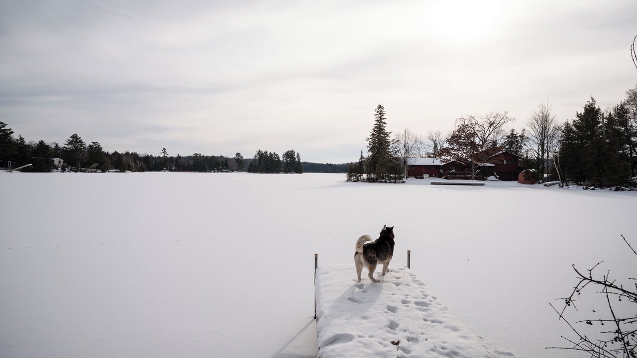 Photo of Outdoor in Bobcaygeon