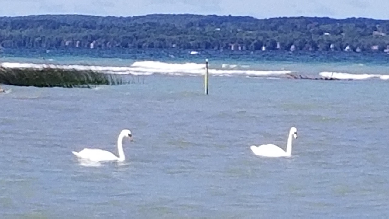 Photo of Others in Meaford