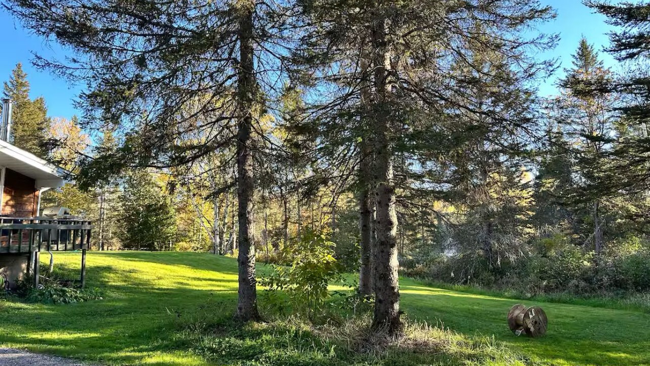 Photo of Outdoor in Ahmic Harbour