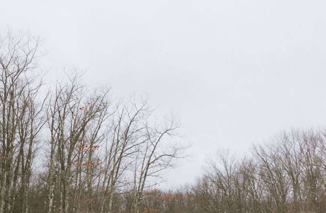 Photo of Others in Finlayson