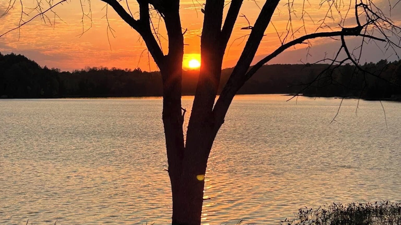 Photo of Outdoor in Port Loring