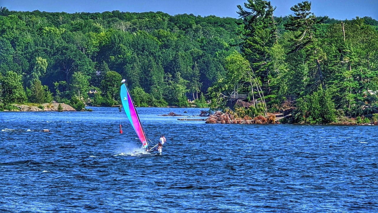 Photo of Others in Selwyn
