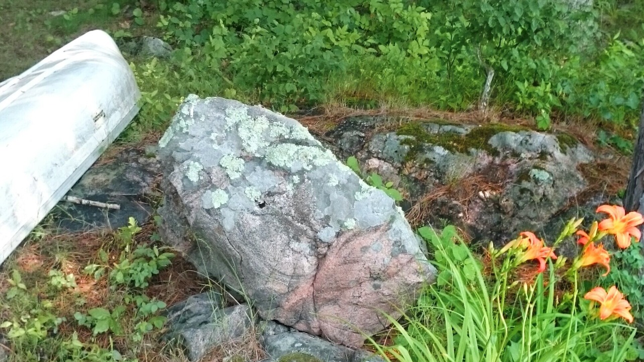 Photo of Outdoor in Selwyn