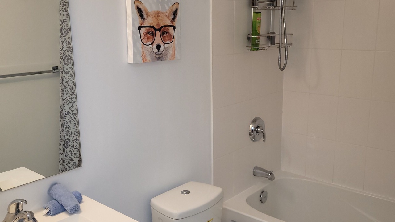 Photo of Bathroom in Toronto Entertainment District