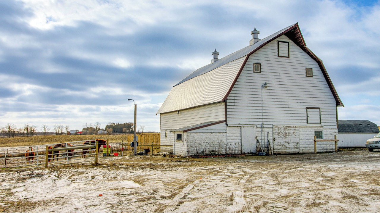 Photo of Others in Todd County