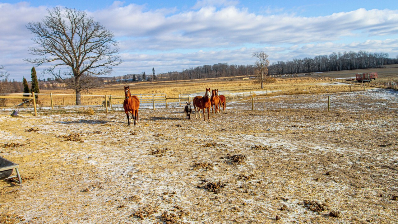Photo of Others in Todd County