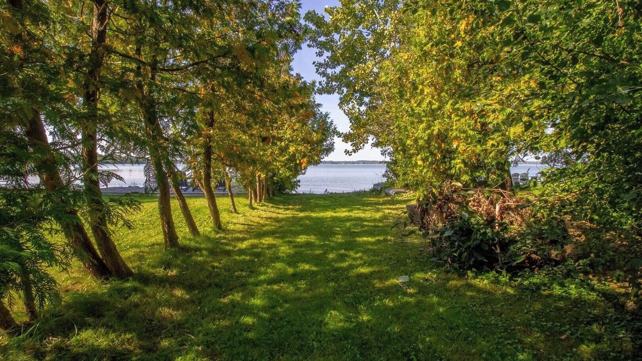 Photo of Others in Scugog