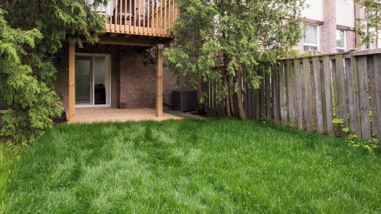 Photo of Outdoor in Thornhill