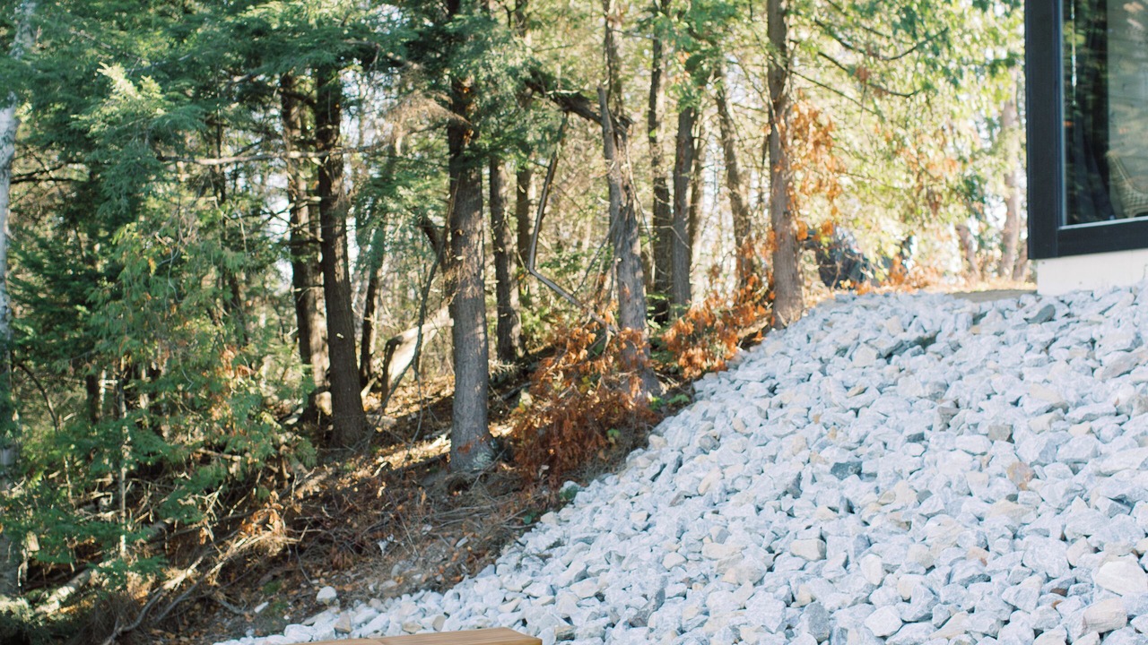 Photo of Outdoor in North Frontenac
