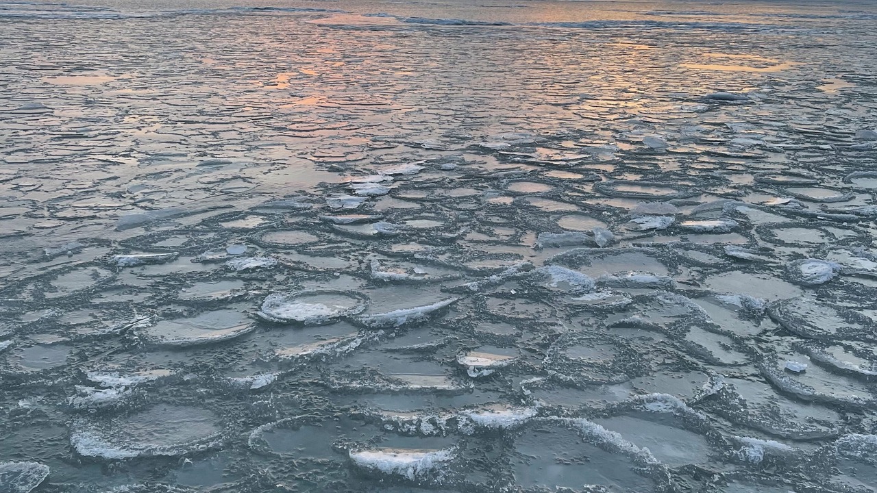 Photo of Outdoor in Port Stanley