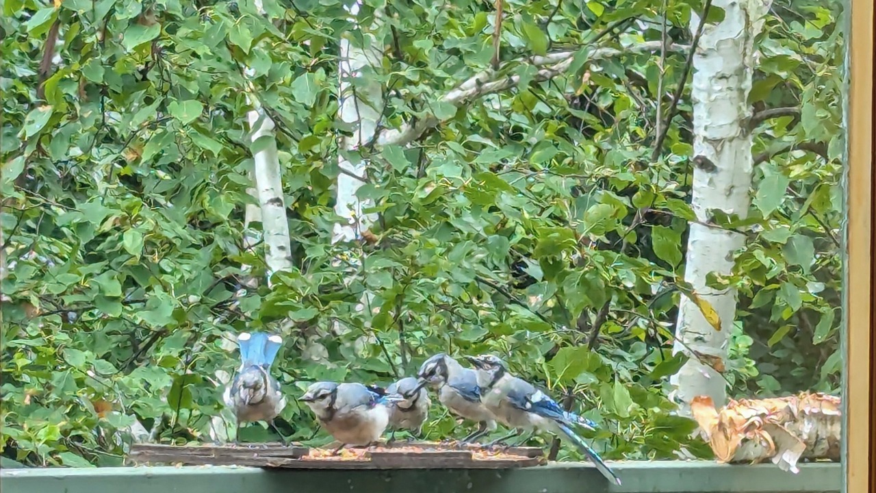 Photo of Others in Madawaska Valley