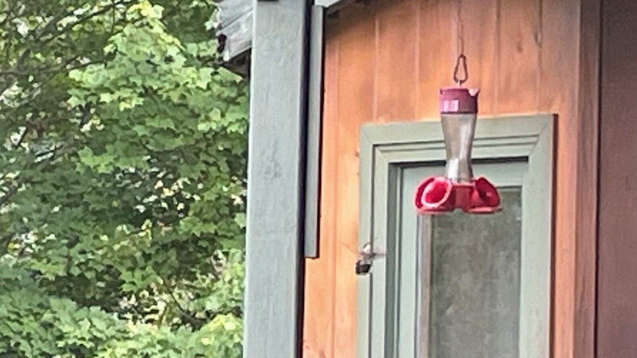 Photo of Outdoor in Madawaska Valley