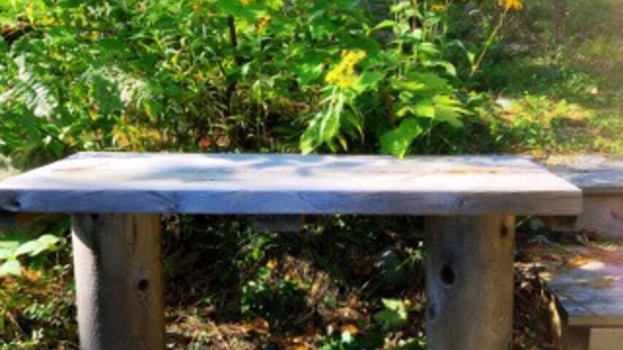 Photo of Others in Algoma District