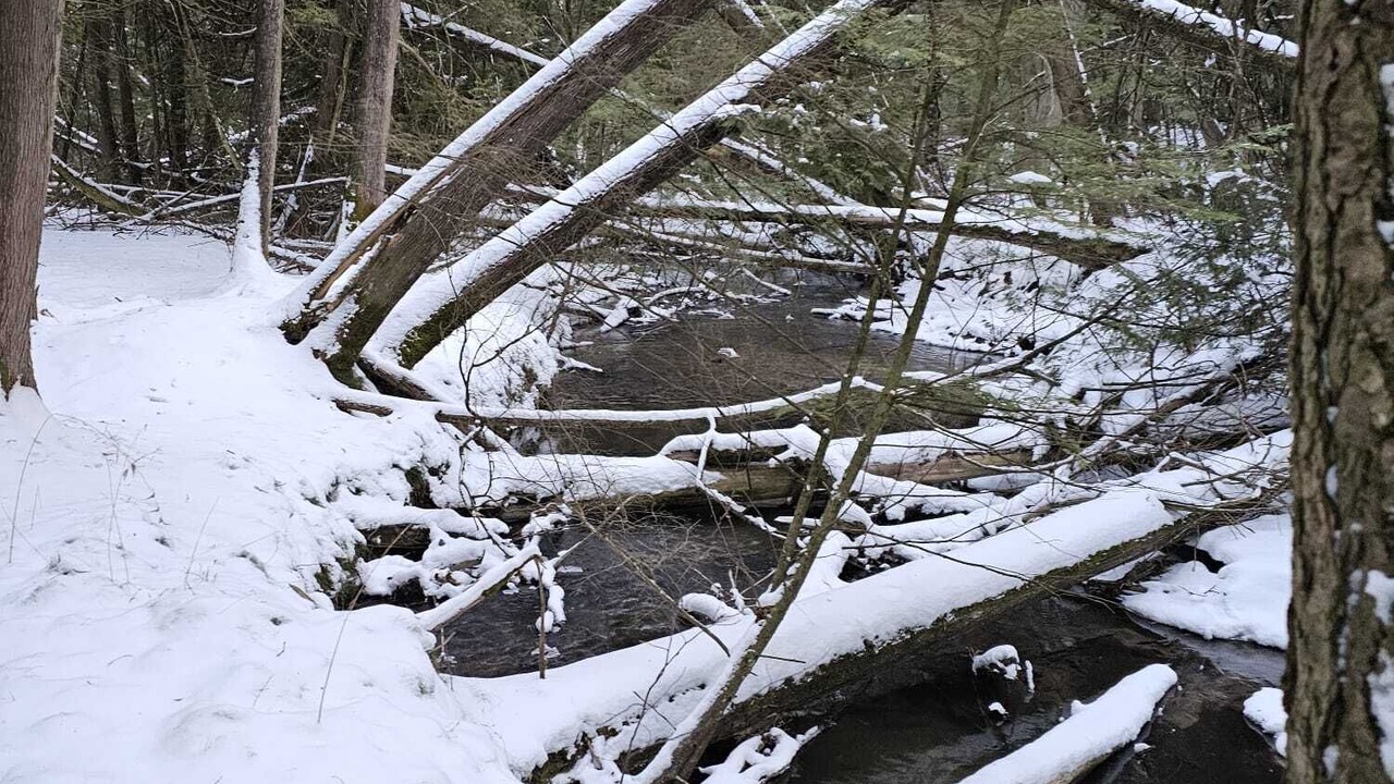 Photo of Others in Clarington