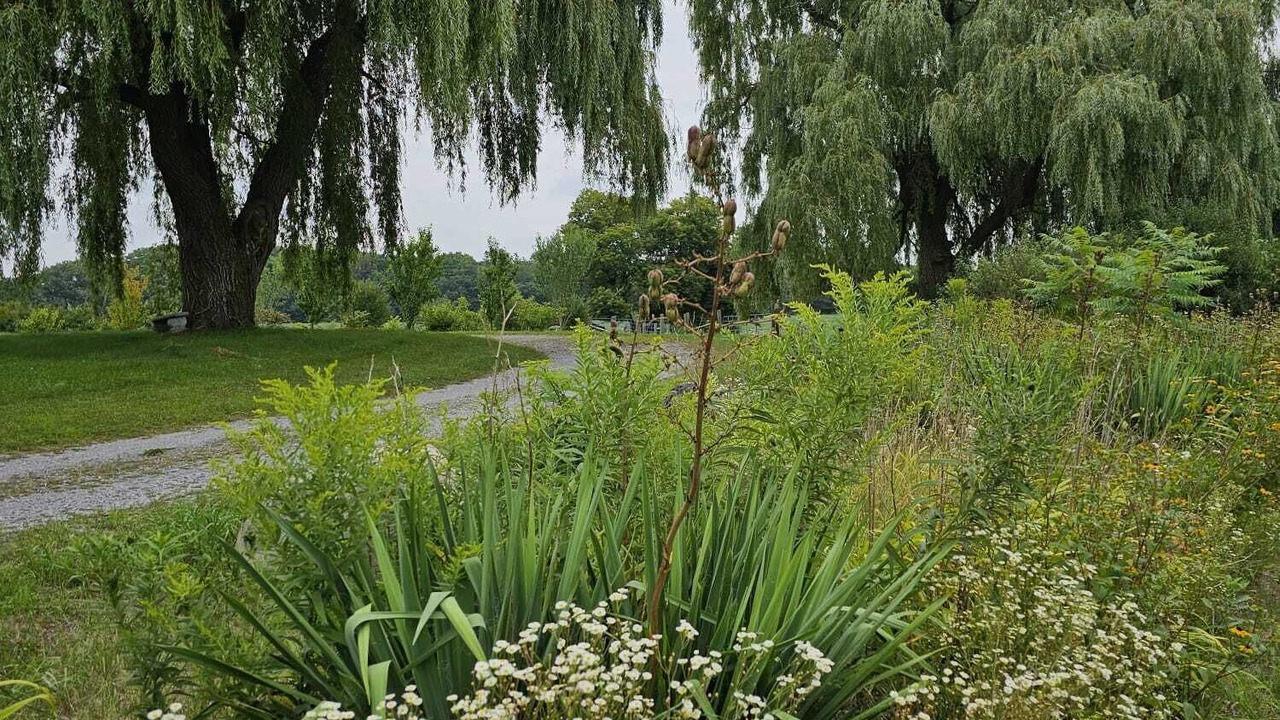 Photo of Outdoor in Clarington